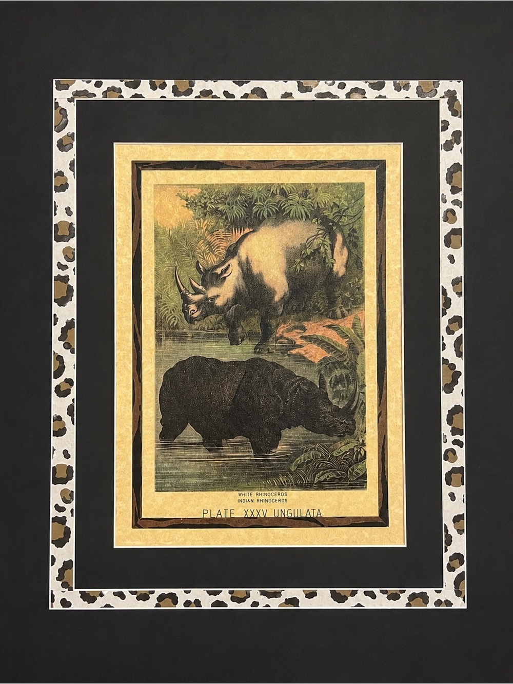 Vintage Wildlife Rhinoceros Print White & Indian Rhinoceros Safari Decor